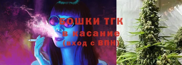 гашик Алексеевка